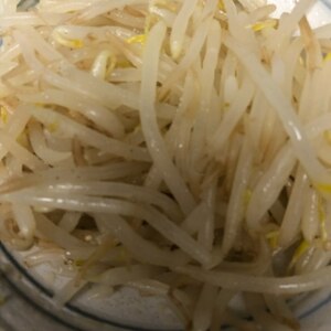 ☆もやし&ほうれん草のナムルの作り方☆保存方法